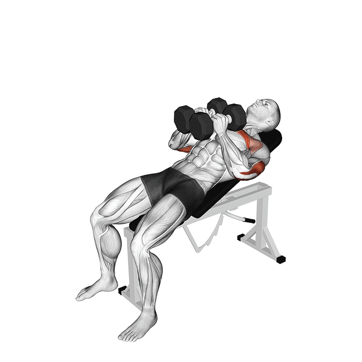 Close Grip Incline Dumbbell Bench Press exercise animation