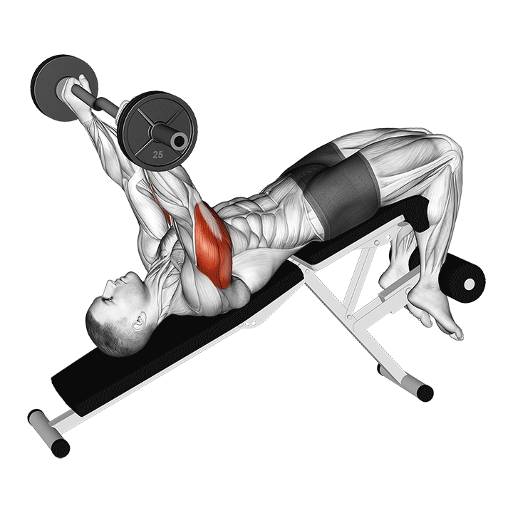 Decline Barbell French Press exercise animation