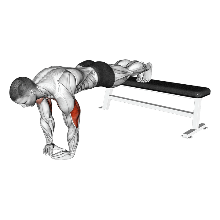 Decline Diamond Push-Up exercise animation