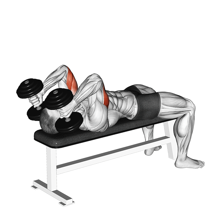 Dumbbell Lying Triceps Extension exercise animation