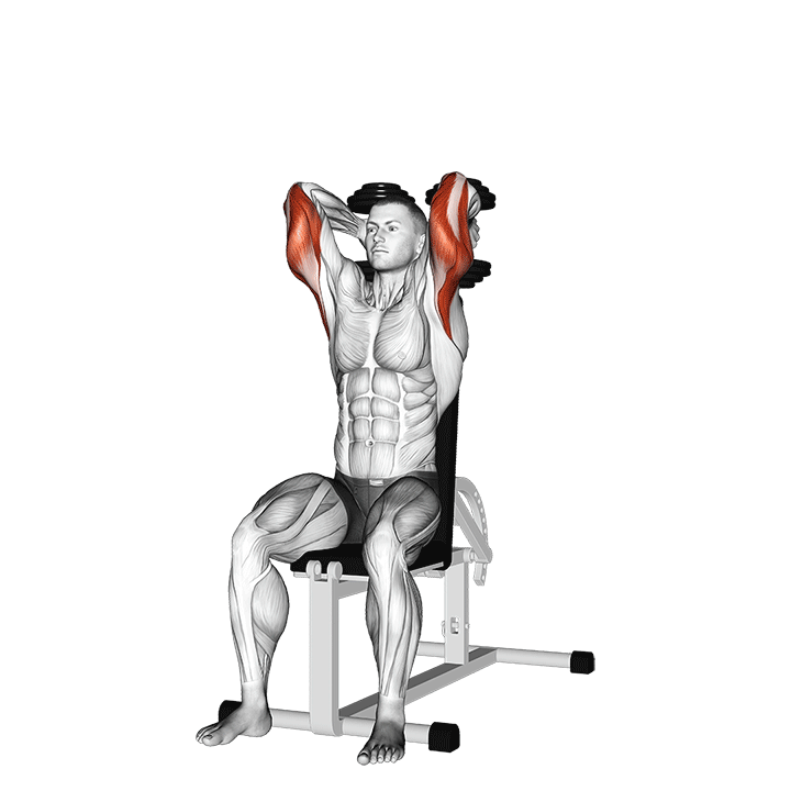 Dumbbell Seated Triceps Extension exercise animation