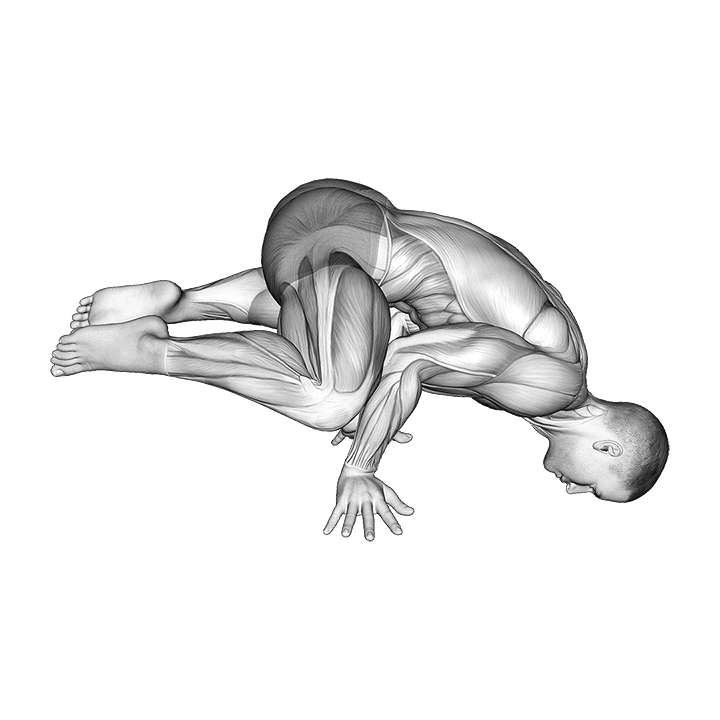 Frog Planche exercise animation