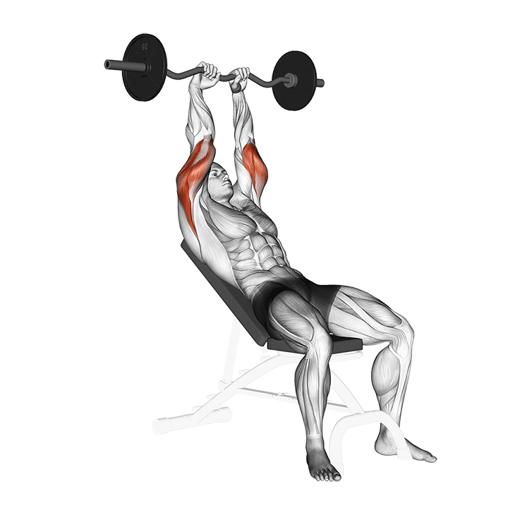 Incline Barbell Triceps Extension exercise animation