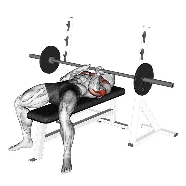 JM Press exercise animation