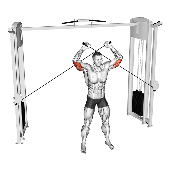 Katana Triceps Extension exercise animation
