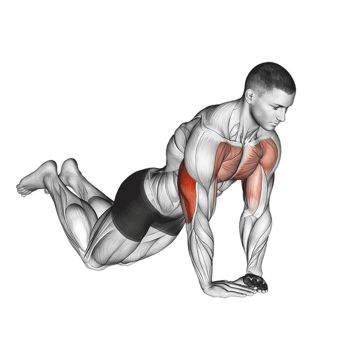 Knee Diamond Push-Up exercise animation