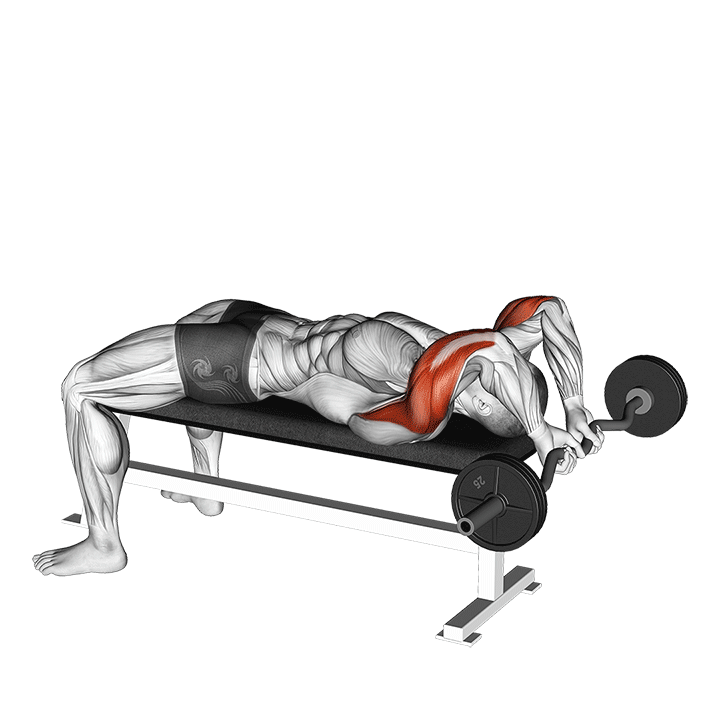 Lying EZ-Bar Triceps Extension exercise animation