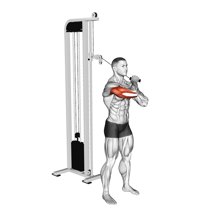 One-Arm Cable Cross Body Triceps Extension exercise animation