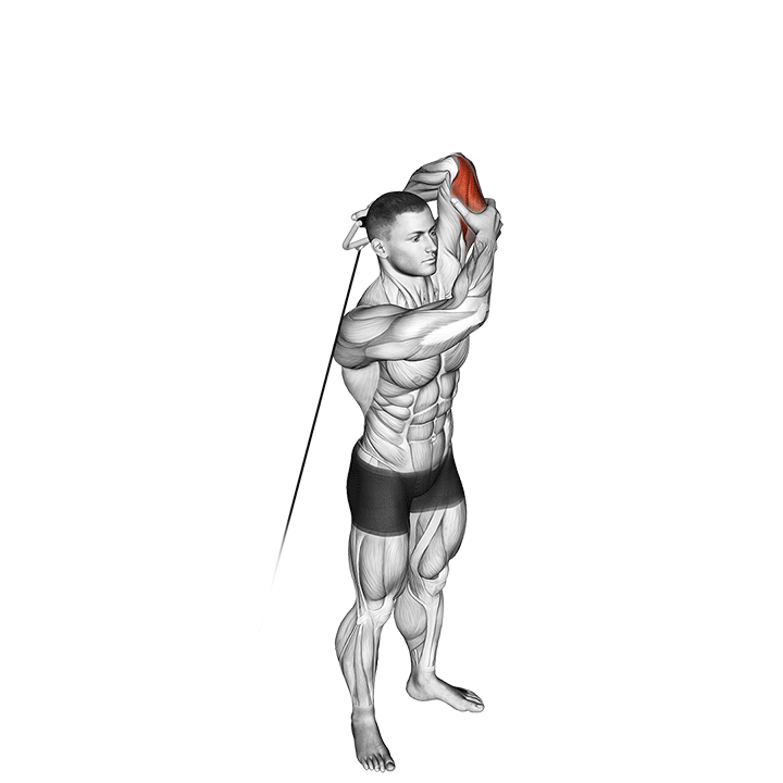 One-Arm Katana Triceps Overhead Extension exercise animation