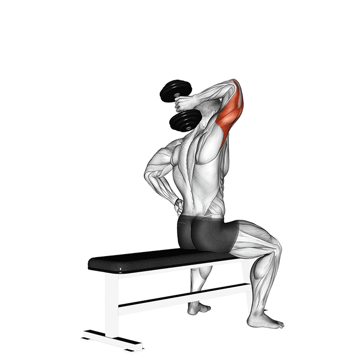 One-Arm Overhead Triceps Extension exercise animation