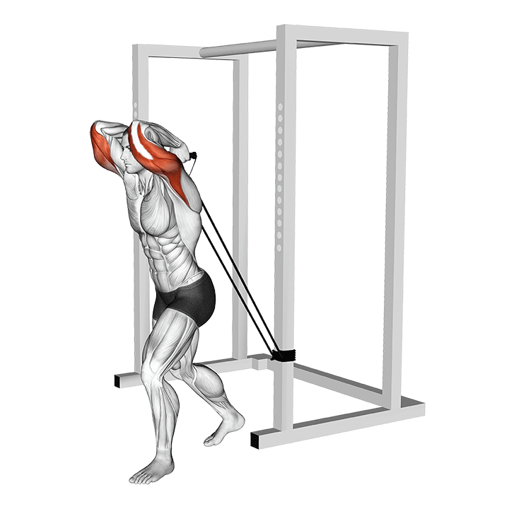 Overhead Band Triceps Extension exercise animation