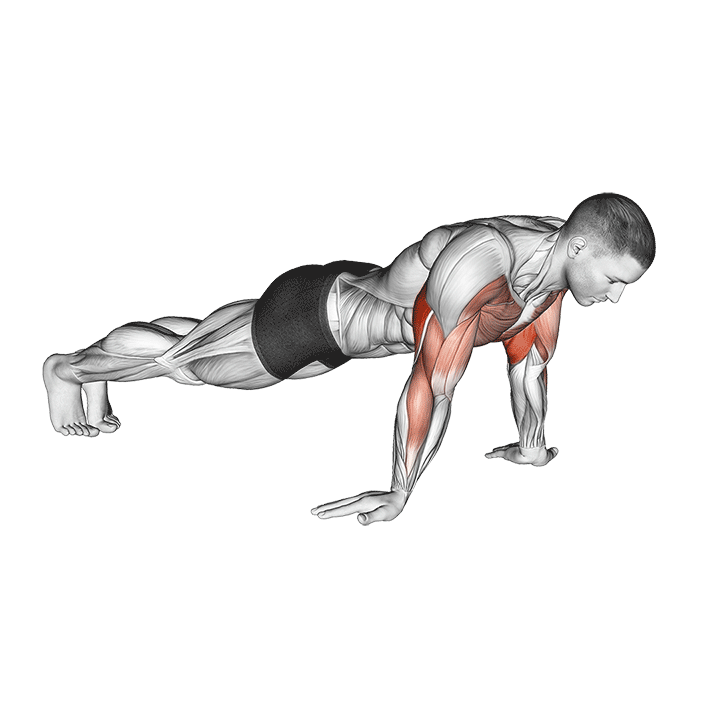 Reverse Hand Push-Up exercise animation