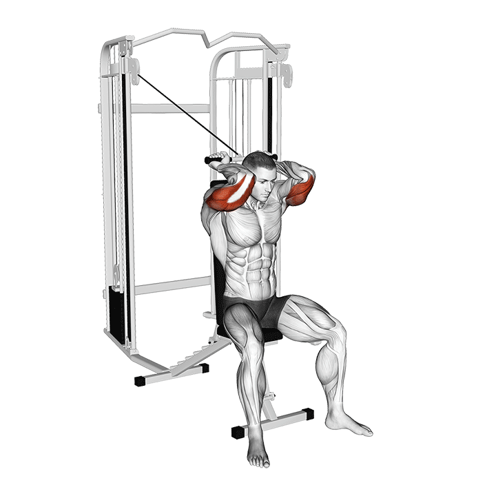 Seated Cable Horizontal French Press exercise animation