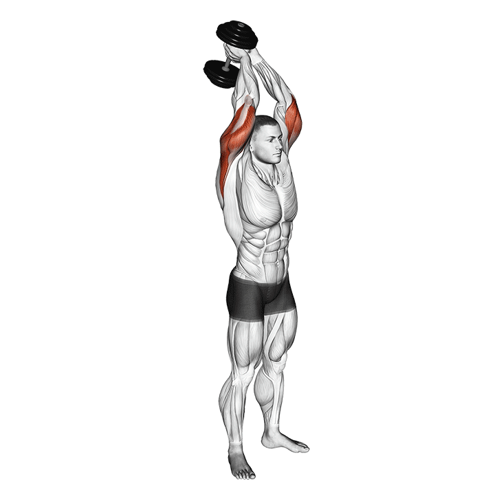 Standing One Dumbbell French Press exercise animation
