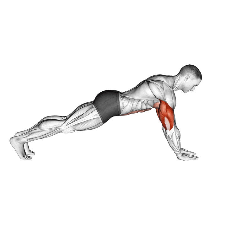 Triceps Push-Up exercise animation