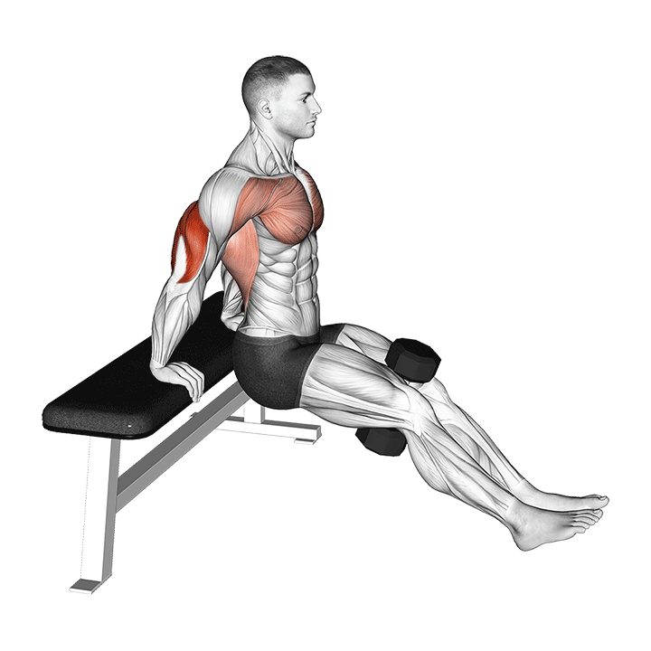 Weighted Bench Dips exercise animation