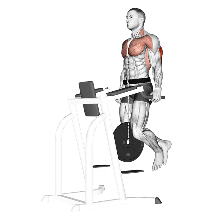 Weighted Dips exercise animation