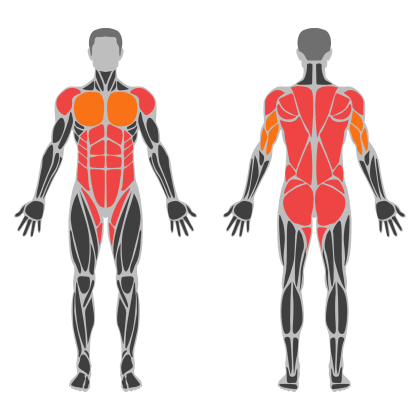 Full Body Strength affected muscles