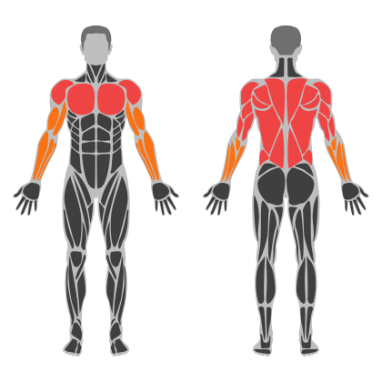 Upper Technique affected muscles