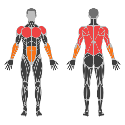 Upper Strength affected muscles