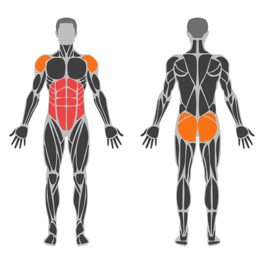 Plank affected muscles