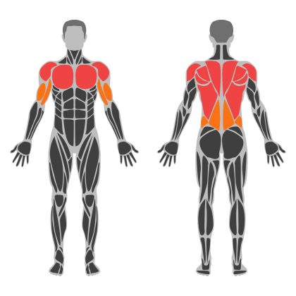 Upper Technique affected muscles