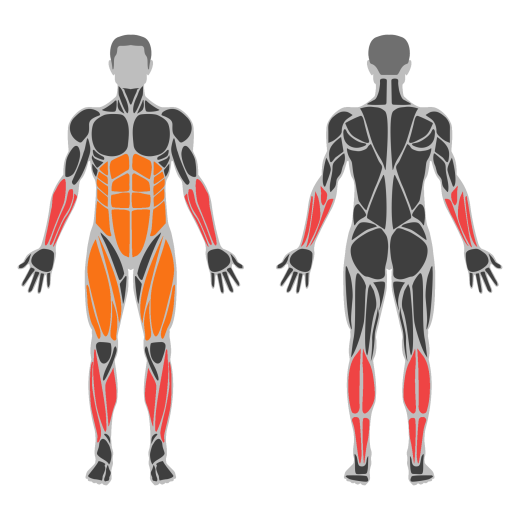 Dumbbell Farmer Carry affected muscles