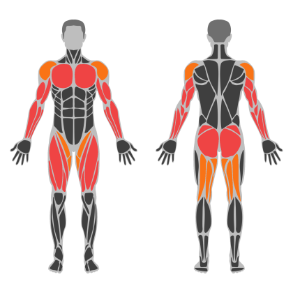 Full Body C affected muscles