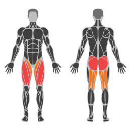 Dumbbell Walking Lunges affected muscles