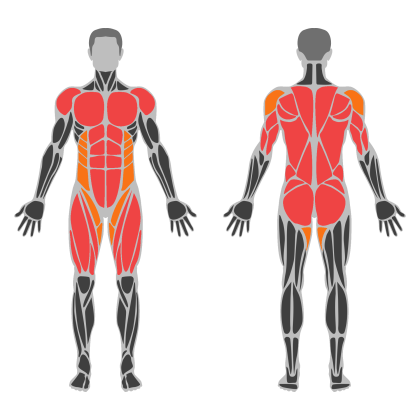 Full Body A affected muscles
