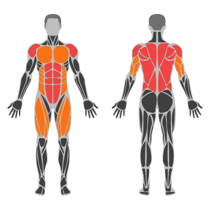 Upper Body Balance affected muscles