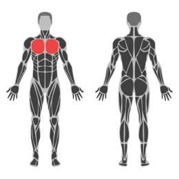 Elbow Out Chest Stretch affected muscles