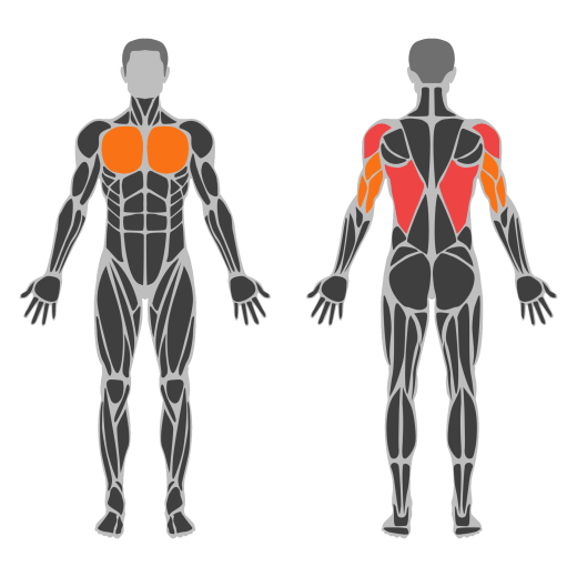 Standing Downward Dog affected muscles