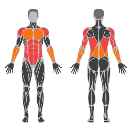 Core and Back affected muscles