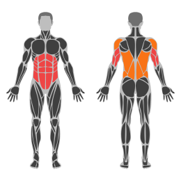 Flag affected muscles
