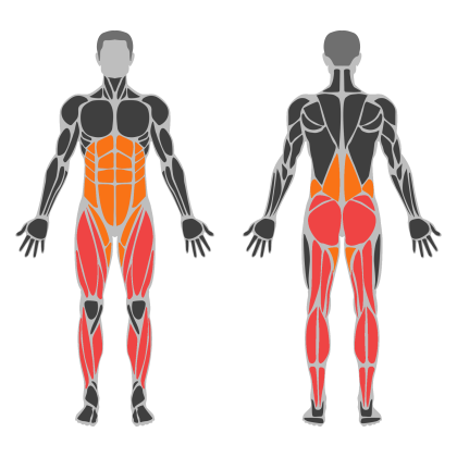 Legs and Glute Volume affected muscles