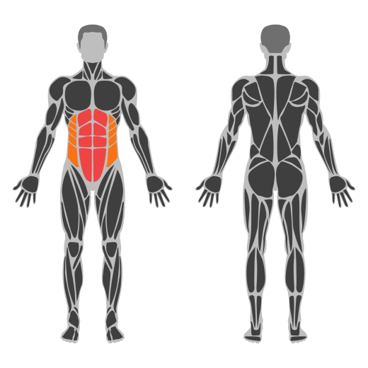 Shoulderstand Pose affected muscles