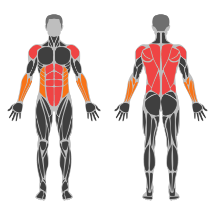 Upper Body and Core affected muscles
