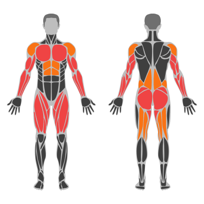 Full Body Practice affected muscles