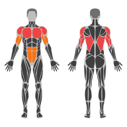 Chest Strength affected muscles