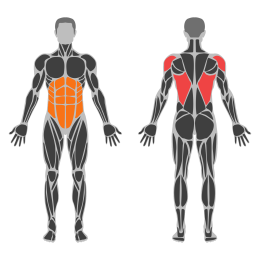 Standing Side Lat Stretch affected muscles