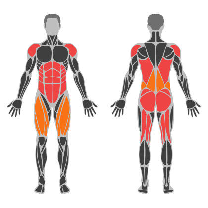 Full Body B affected muscles
