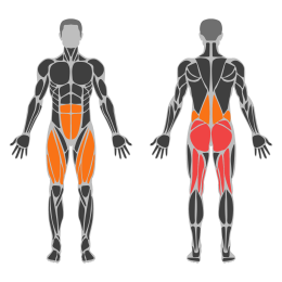 B Stance Romanian Deadlift affected muscles