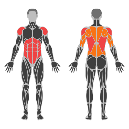 Posture Strength affected muscles