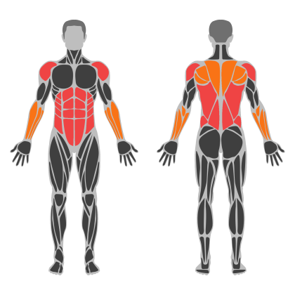 Upper Body and Core affected muscles