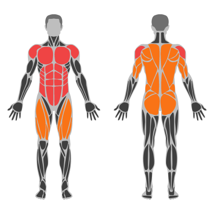 Core and Back affected muscles