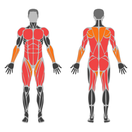 Full Body Power affected muscles