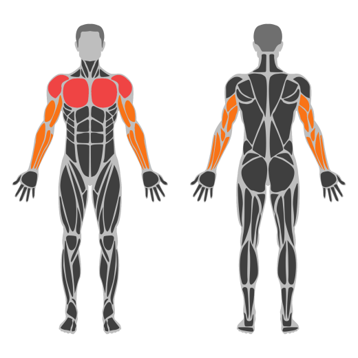 Planche Dips affected muscles