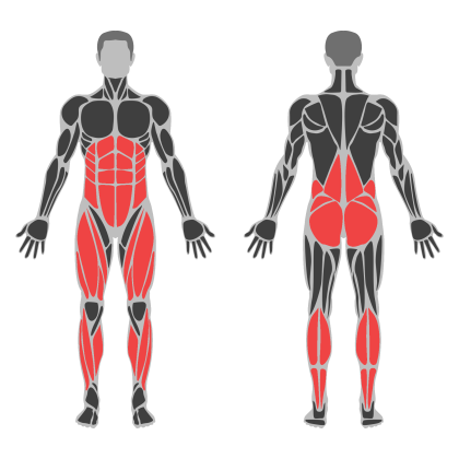 Lower Body and Glutes affected muscles