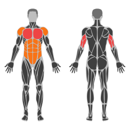 Wide Hand Push-Up affected muscles